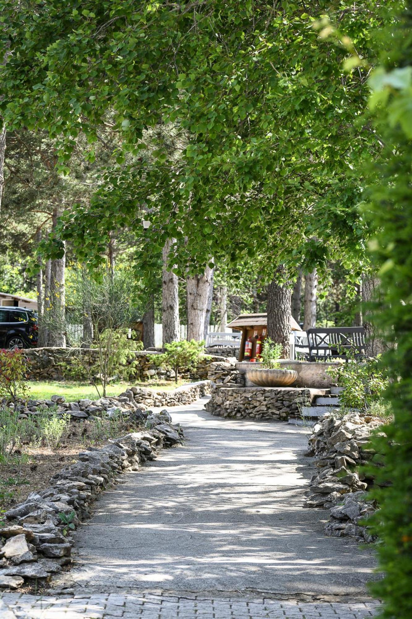Domaine Du Val De Sault Sault-de-Vaucluse Exterior foto